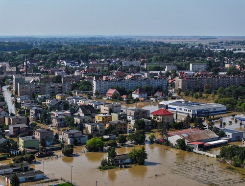 Kraj Przepławka w Nysie. Ekologiczna utopia i jej przerażające skutki